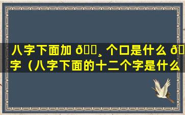 八字下面加 🌸 个口是什么 🐛 字（八字下面的十二个字是什么意思）